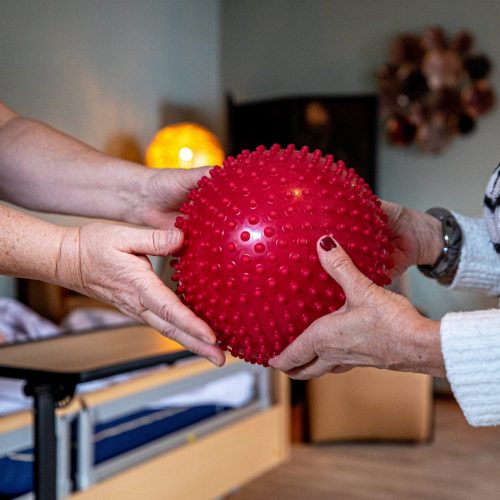 auxpark rode bal (gebruikt)