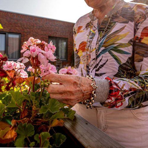 kimroufs_zorggroep_dag2_1709-43 Bergh